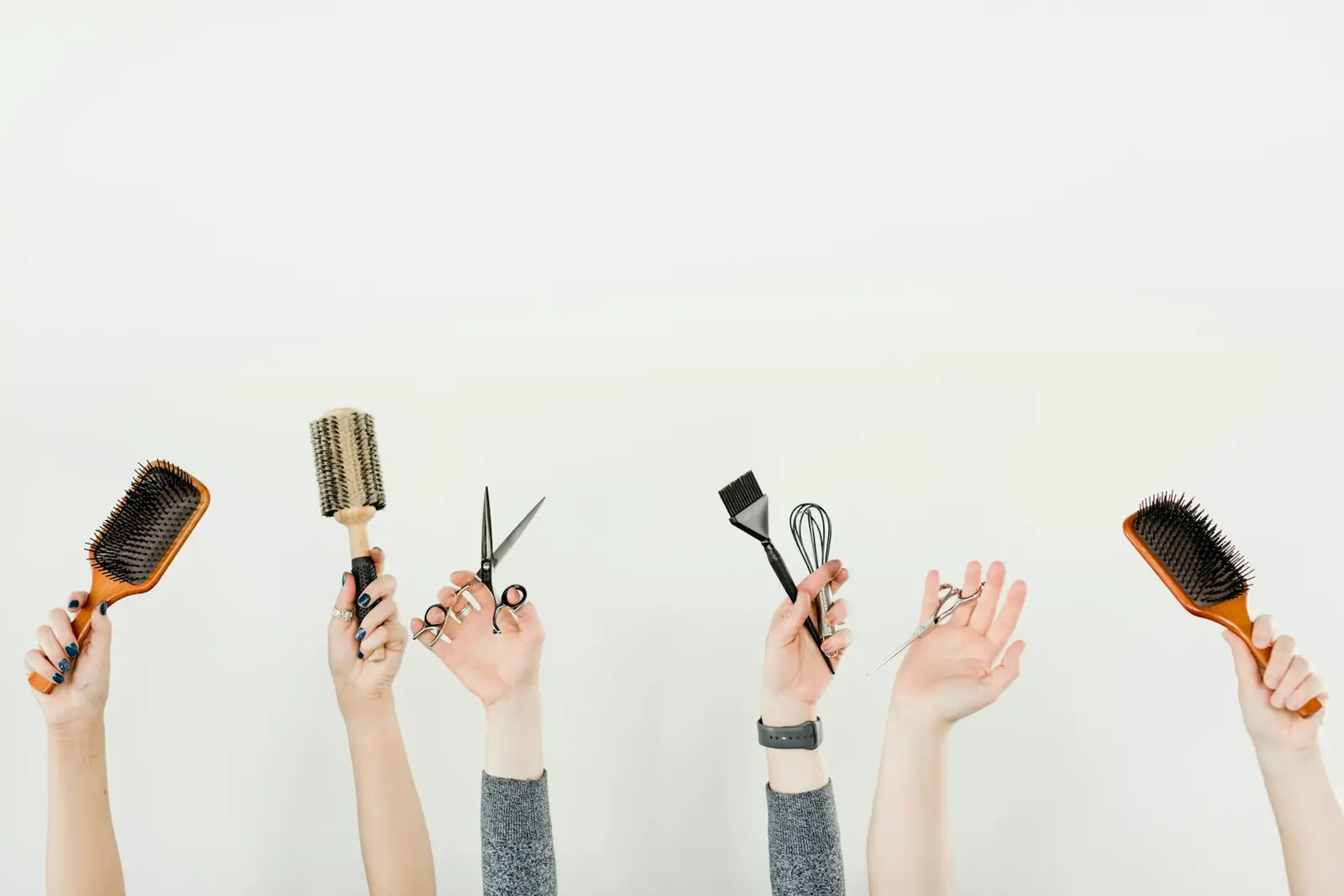 Professional Groomer Course
